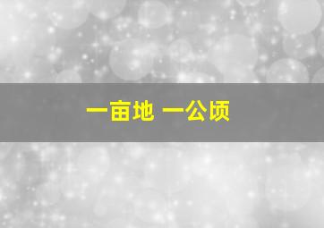 一亩地 一公顷